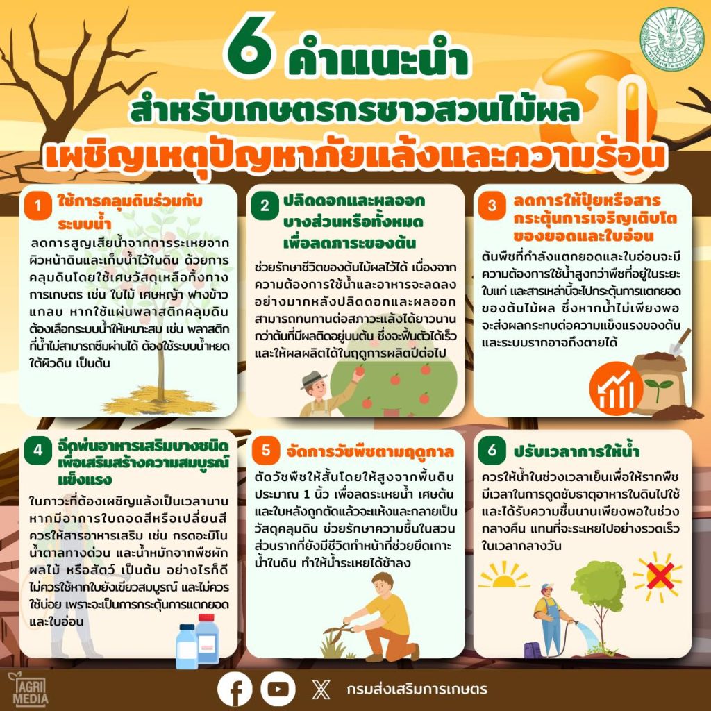 6 คำแนะนำ สำหรับเกษตรกรชาวสวนไม้ผล เผชิญเหตุปัญหาภัยแล้งและความร้อน