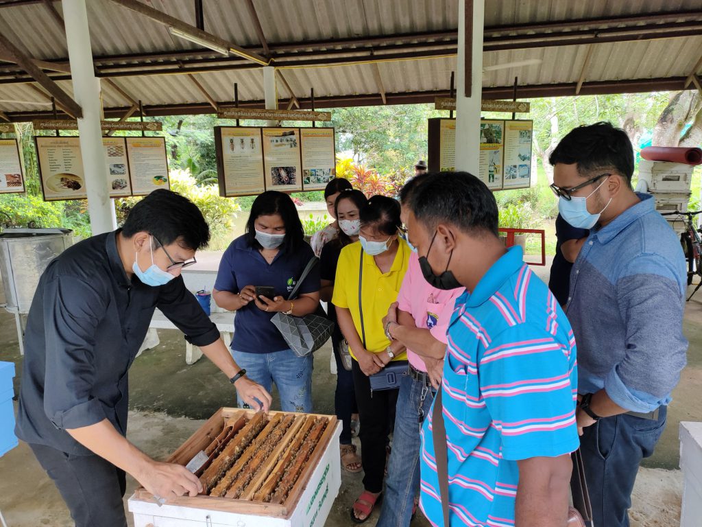 เกษตรกรอำเภอนายายอาม จังหวัดจันทบุรี ศึกษาดูงานด้านแมลงเศรษฐกิจ