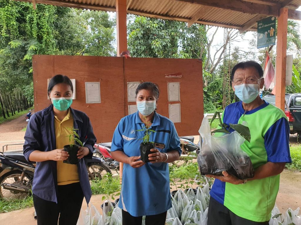 สนับสนุนต้นพันธุ์พืชสมุนไพร โครงการคลินิกเกษตรเคลื่อนที่ ในพื้นที่ตำบลรำพัน อำเภอท่าใหม่ และตำบลกระแจะ อำเภอนายายอาม จังหวัดจันทบุรี