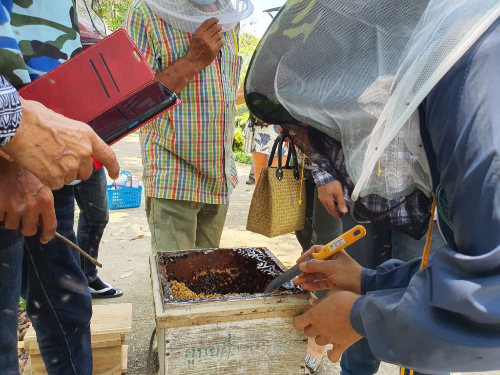 จัดฝึกอบรมโครงการส่งเสริมและพัฒนาอาชีพการเกษตร ประจำปี 2564 หลักสูตร การเลี้ยงผึ้งชันโรง ณ ศูนย์ส่งเสริมและพัฒนาอาชีพการเกษตรจังหวัดจันทบุรี