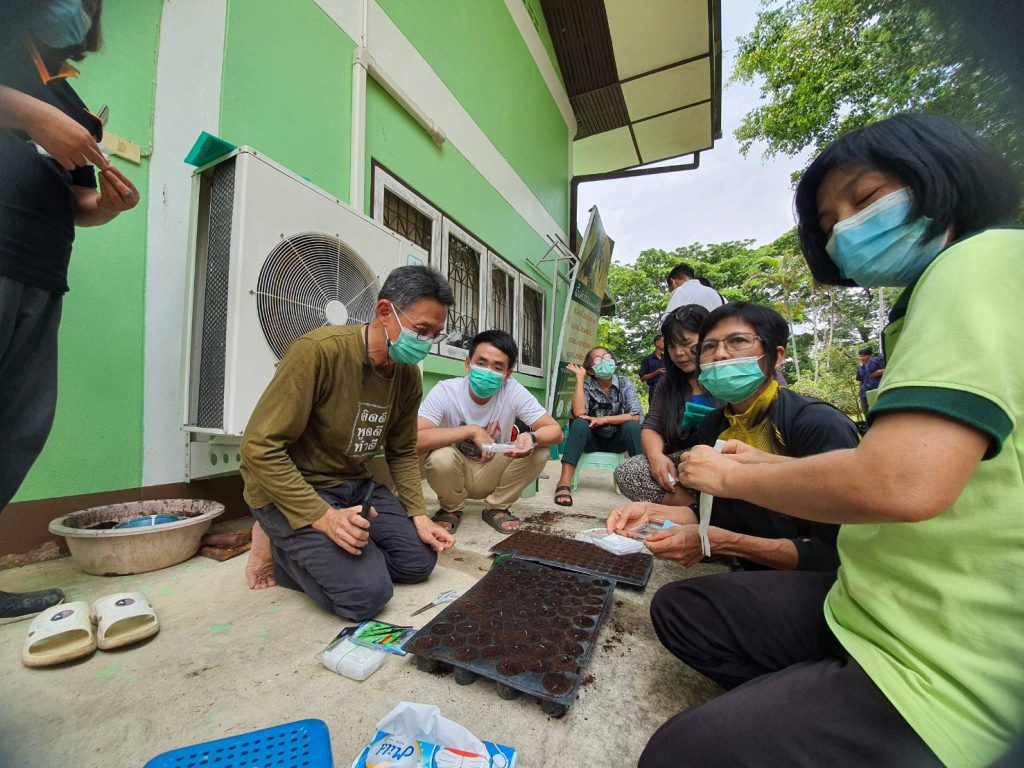 จัดฝึกอบรมโครงการส่งเสริมและพัฒนาอาชีพการเกษตร ประจำปี 2564 หลักสูตร การปลูกผักยกแคร่ ณ ศูนย์ส่งเสริมและพัฒนาอาชีพการเกษตรจังหวัดจันทบุรี