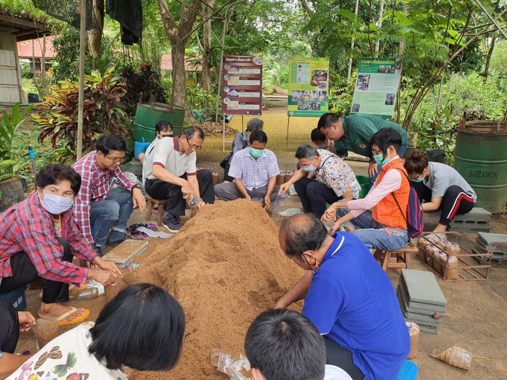 จัดฝึกอบรมโครงการส่งเสริมและพัฒนาอาชีพการเกษตร ประจำปี 2564 หลักสูตรการเพาะเห็ด ณ ศูนย์ส่งเสริมและพัฒนาอาชีพการเกษตรจังหวัดจันทบุรี