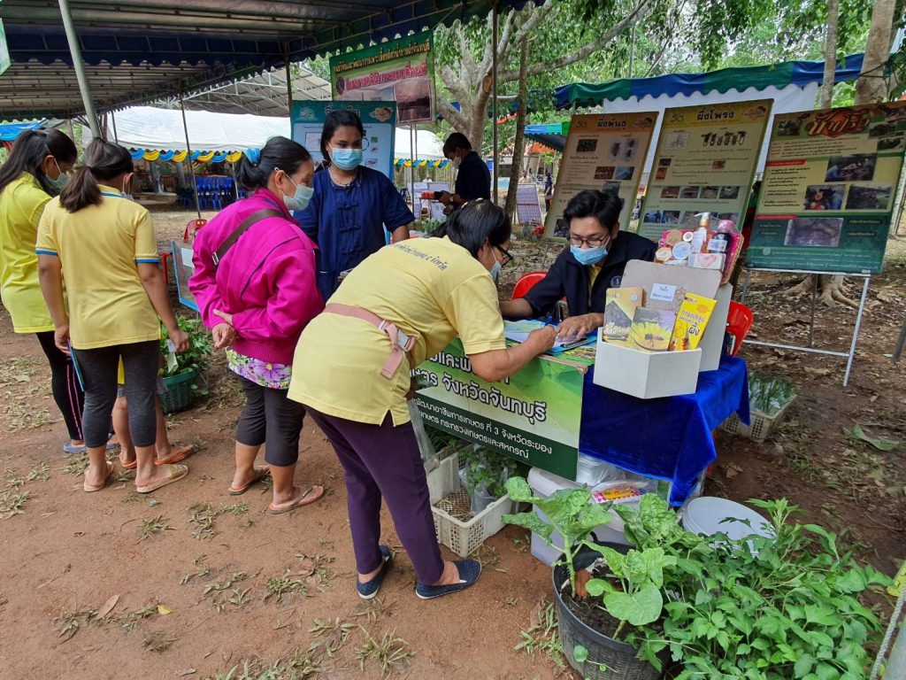 ร่วมจัดนิทรรศการและให้บริการทางการเกษตรในงานโครงการคลินิกเกษตรเคลื่อนที่ฯ ณ วัดคลองน้ำเย็น ตำบลพวา อำเภอแก่งหางแมว จังหวัดจันทบุรี