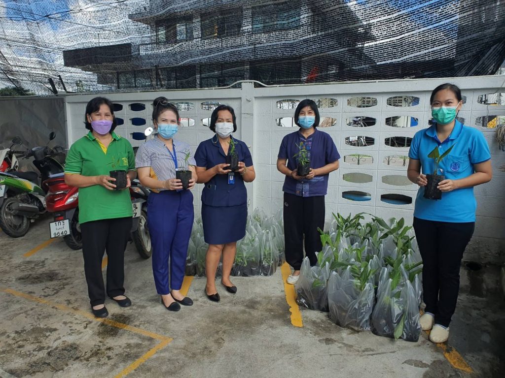 ถ่ายทอดความรู้ พร้อมสนับสนุนต้นพันธุ์พืชสมุนไพร ภายใต้โครงการส่งเสริมและพัฒนาอาชีพทางการเกษตร พื้นที่ตำบลพลับพลา อำเภอเมืองจันทบุรี จังหวัดจันทบุรี