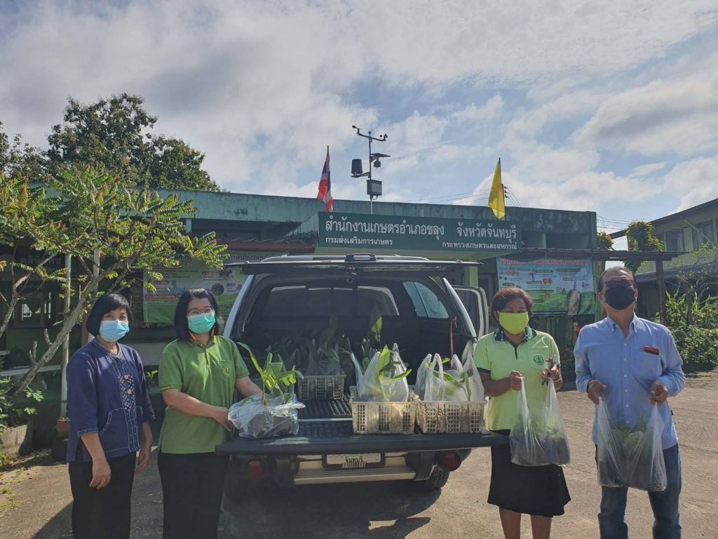 สนับสนุนต้นพันธุ์พืชสมุนไพร โครงการคลินิกเกษตรเคลื่อนที่ พื้นที่อำเภอขลุง