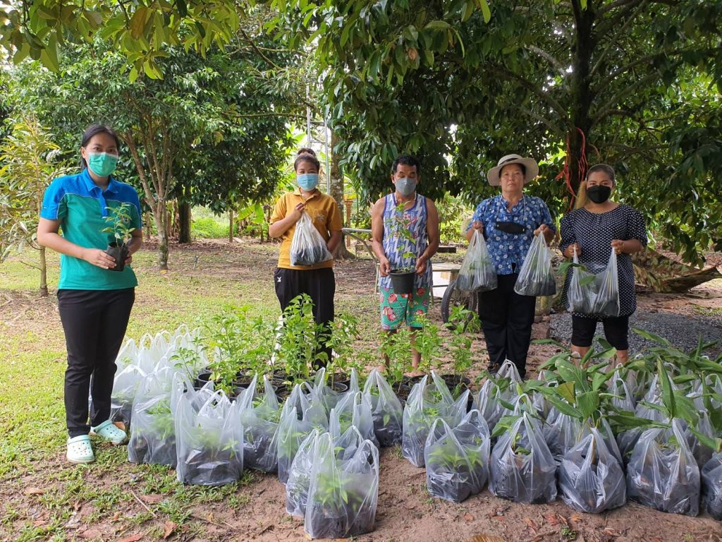 สนับสนุนต้นพันธุ์พืชสมุนไพร โครงการคลินิกเกษตรเคลื่อนที่ พื้นที่อำเภอมะขาม