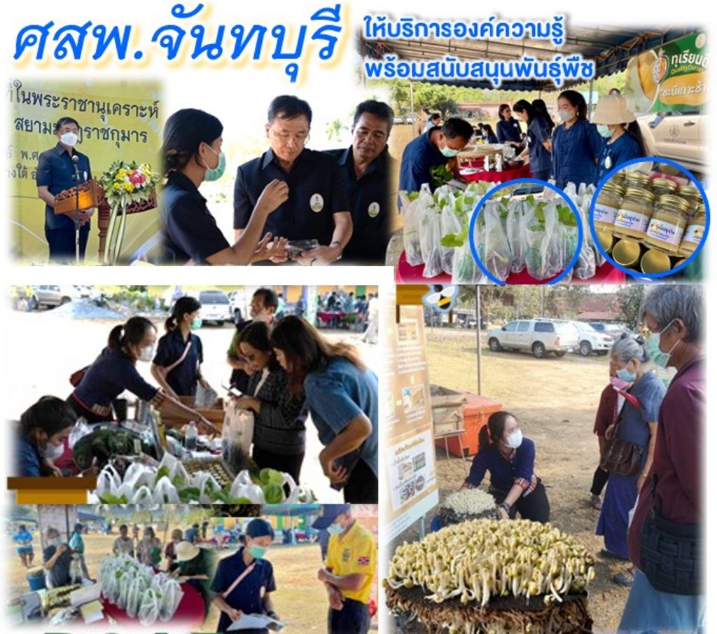 ให้บริการถ่ายทอดองค์ความรู้ในงานคลินิกเกษตรเคลื่อนที่ในพระราชานุเคราะห์ สมเด็จพระบรมโอรสาธิราชฯ สยามมกุฏราชกุมาร ณ โรงเรียนวัดสลักเพชร ตำบลเกาะช้าง อำเภอเกาะช้าง จังหวัดตราด