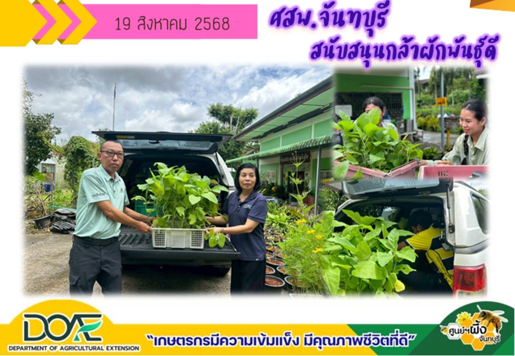 สนับสนุนกล้าผักพันธุ์ดี แก่สำนักงานเกษตรอำเภอโป่งน้ำร้อน จังหวัดจันทบุรี