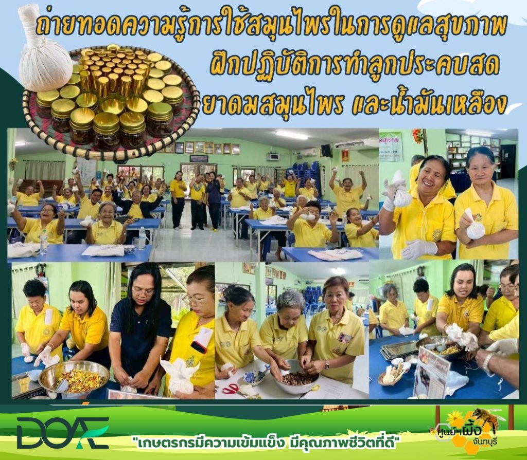 ถ่ายทอดความรู้การใช้สมุนไพรในการดูแลสุขภาพ ฝึกปฏิบัติการทำลูกประคบสดยาดมสมุนไพร และน้ำมันเหลือง