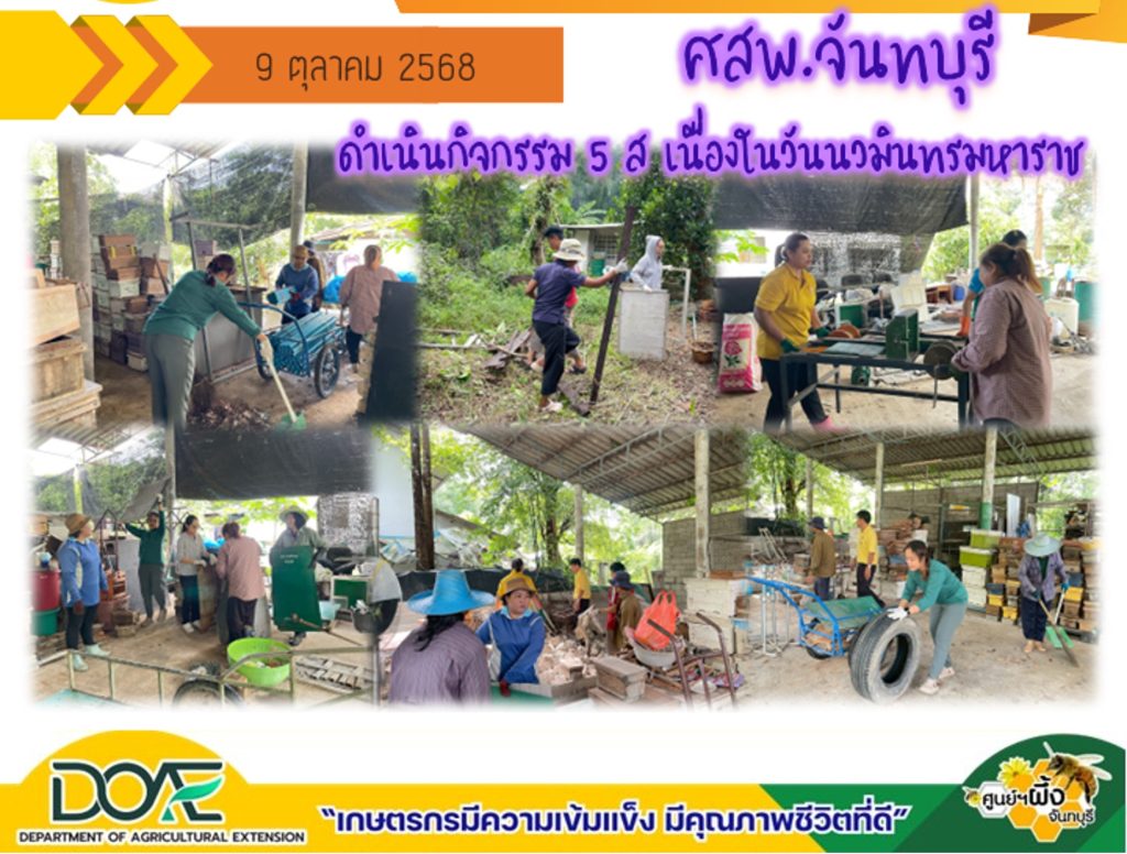 จัดกิจกรรม 5 ส. เนื่องใน “วันนวมินทรมหาราช” รำลึกในพระมหากรุณาธิคุณในหลวงรัชกาลที่ 9